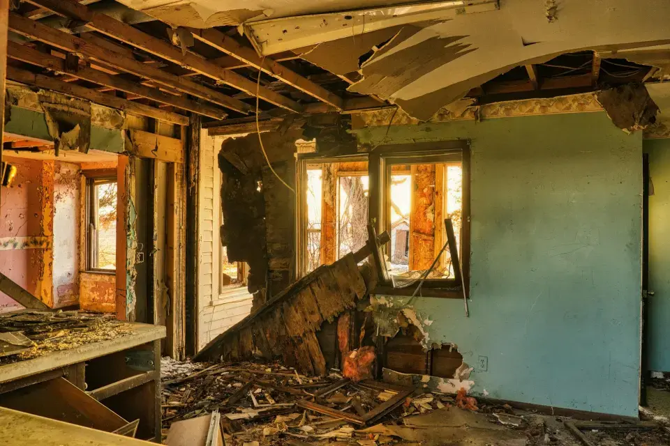 Leading Mold Removal Company in Columbus — Columbus, GA